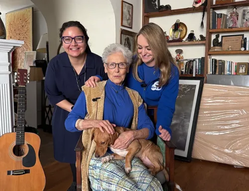 The Safety Net That Holds