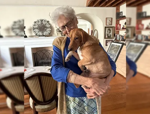 Three Times the Impact, Three Times the Love — Now Until November 30!