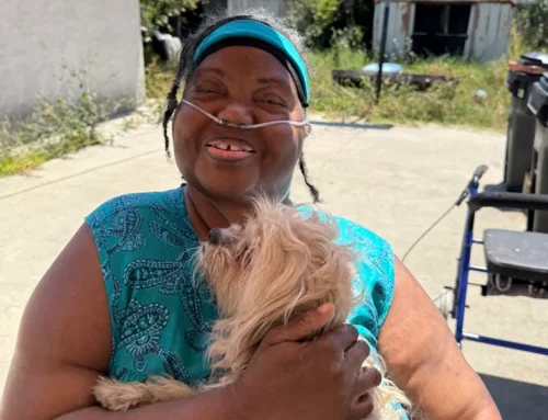 The Healing Power of Companionship